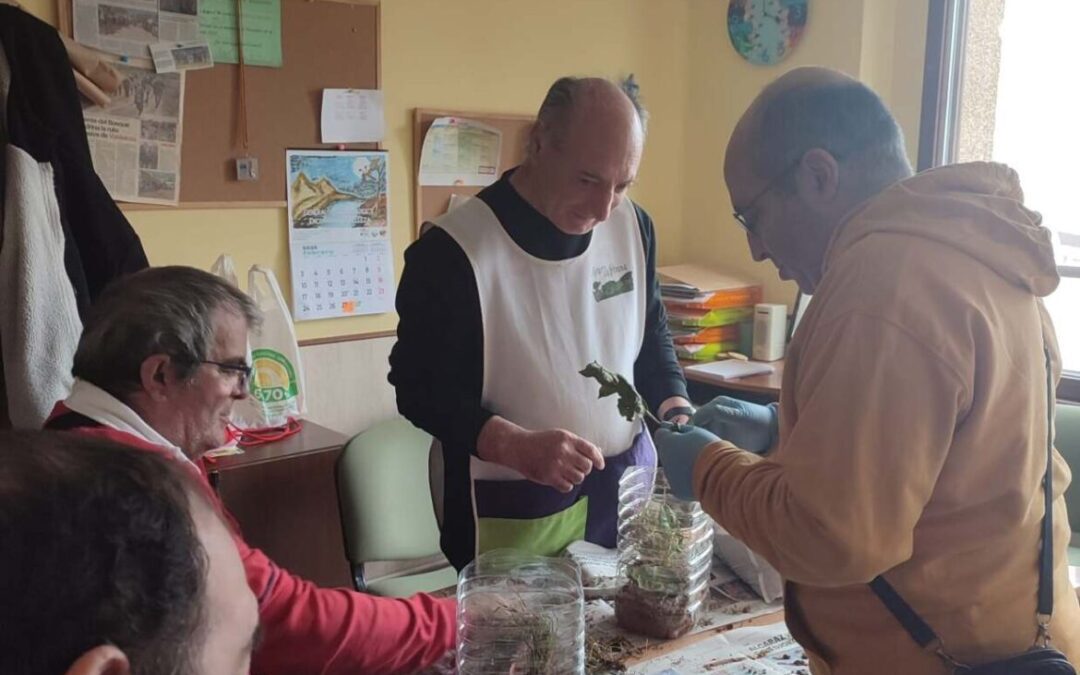 PROYECTO “+BIODIVERSIDAD+SOSTENIBILIDAD” :Experimentamos con los ecosistemas