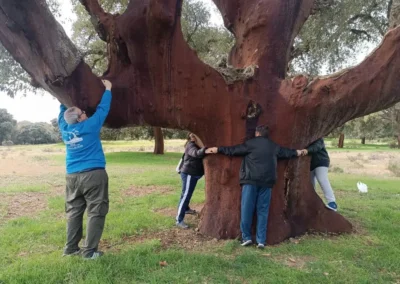 BOSQUE-INCLUSIVO-ABRAZADOS-A-UN-ARBOL