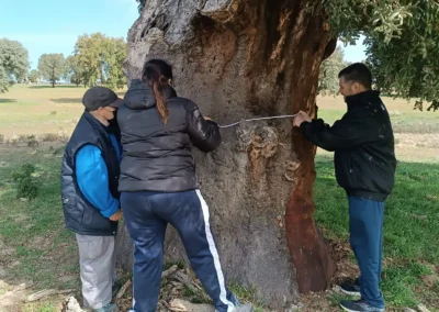 BOSQUE-INCLUSIVO-GUIAS-NATURALEZA